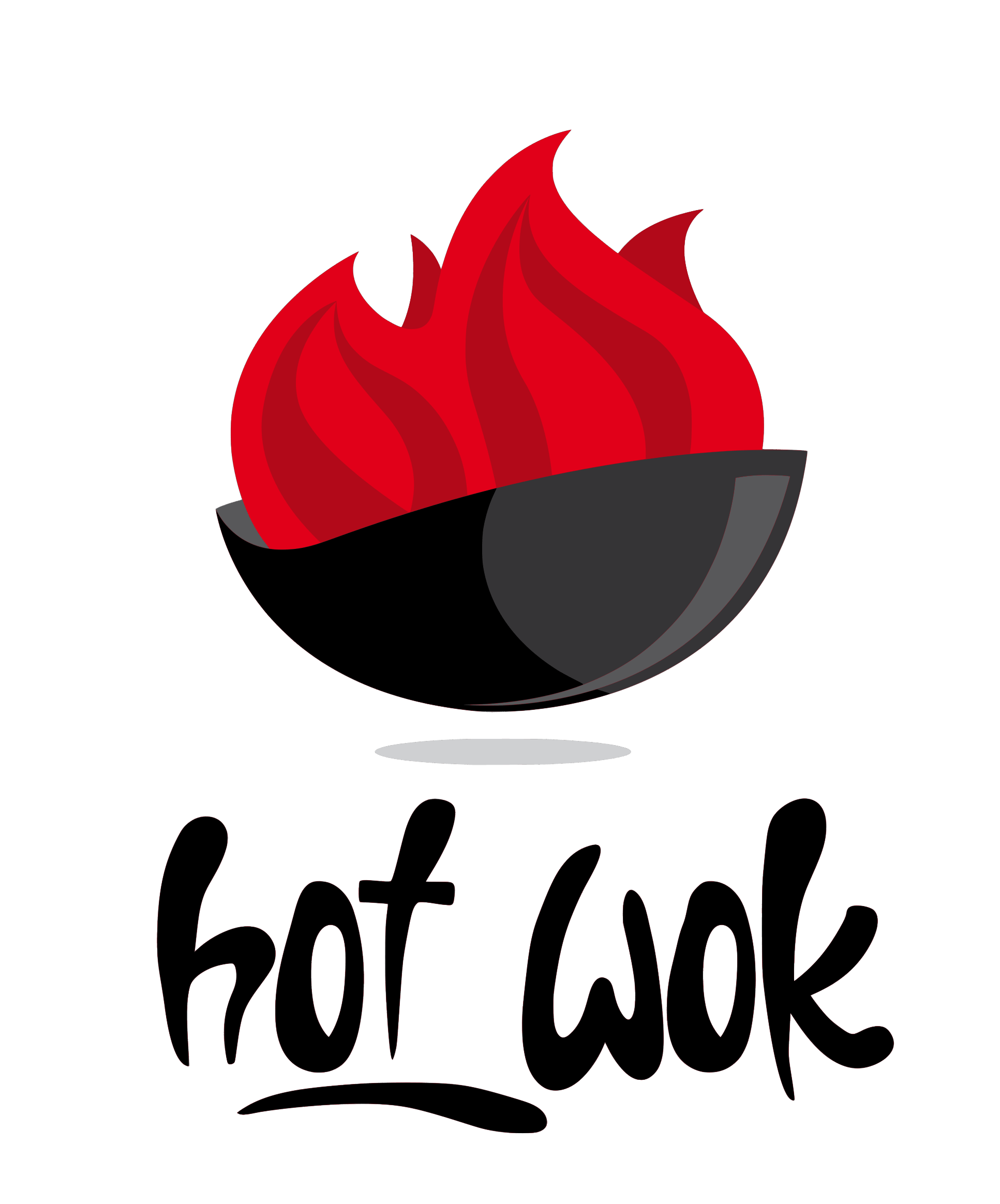 Hot Wok Dresden – vietnamesisches und asiatisches Restaurant am Wasaplatz mit frischen Wok-Gerichten und Lieferservice